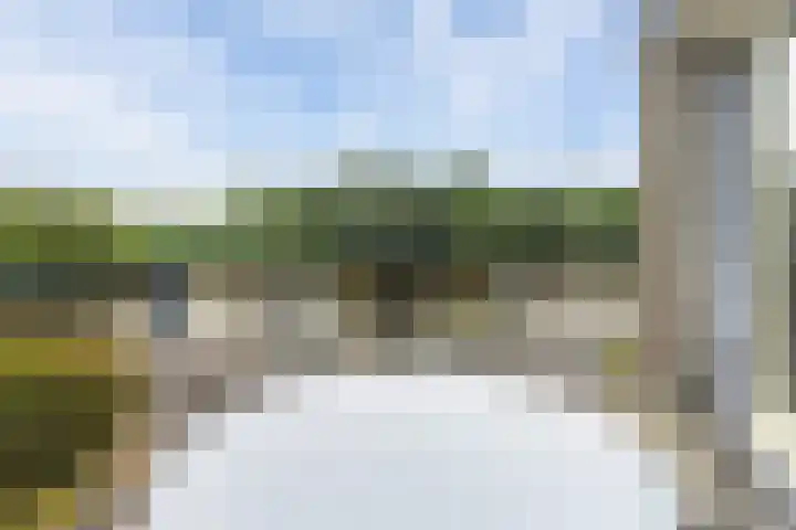 Wielenlaan 29 Boornzwaag thumbnail 4