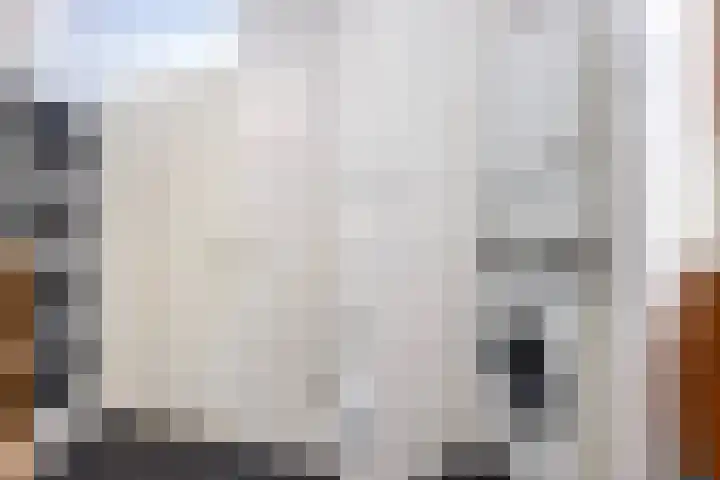 Wielenlaan 29 Boornzwaag thumbnail 42