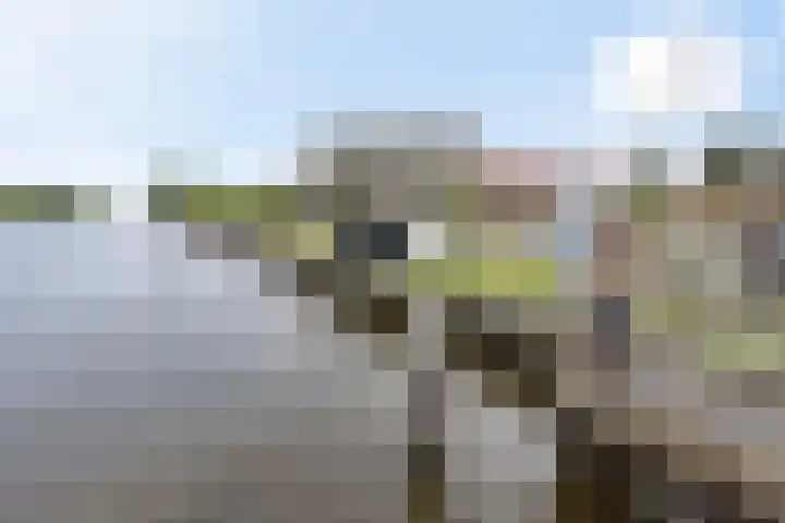 Wielenlaan 29 Boornzwaag thumbnail 45