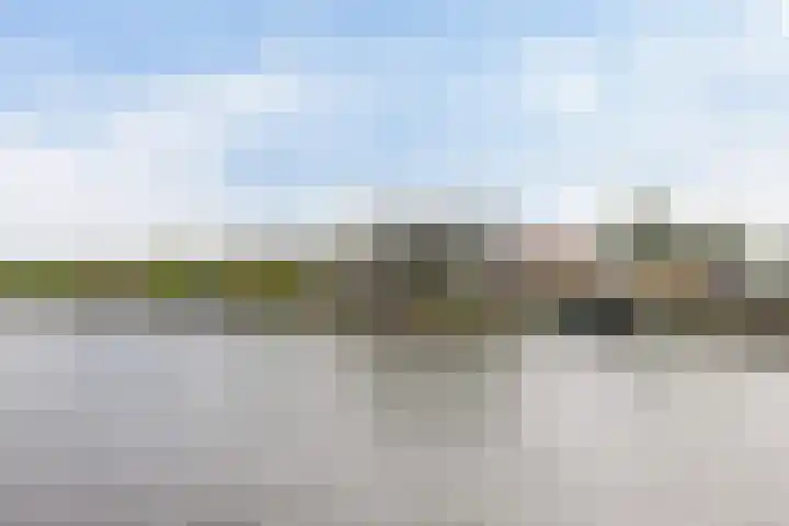 Wielenlaan 29 Boornzwaag thumbnail 46