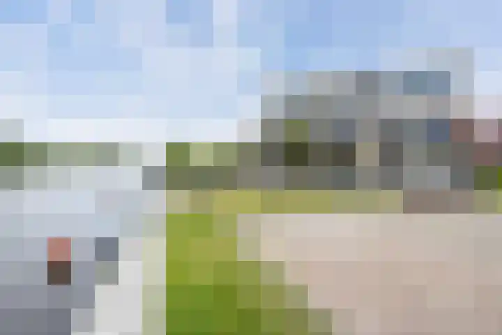 Wielenlaan 29 Boornzwaag thumbnail 47