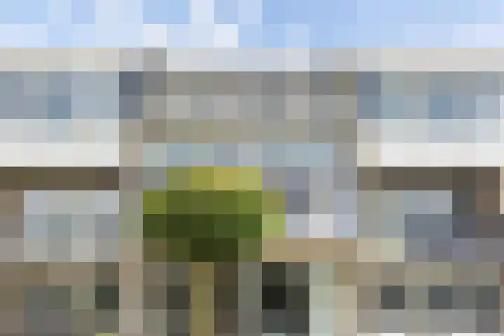 Wielenlaan 29 Boornzwaag thumbnail 48
