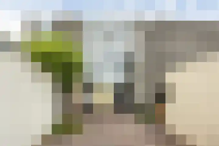 Wielenlaan 29 Boornzwaag thumbnail 49