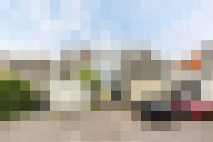 Wielenlaan 29 Boornzwaag thumbnail 50