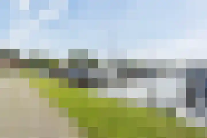 Wielenlaan 29 Boornzwaag thumbnail 51