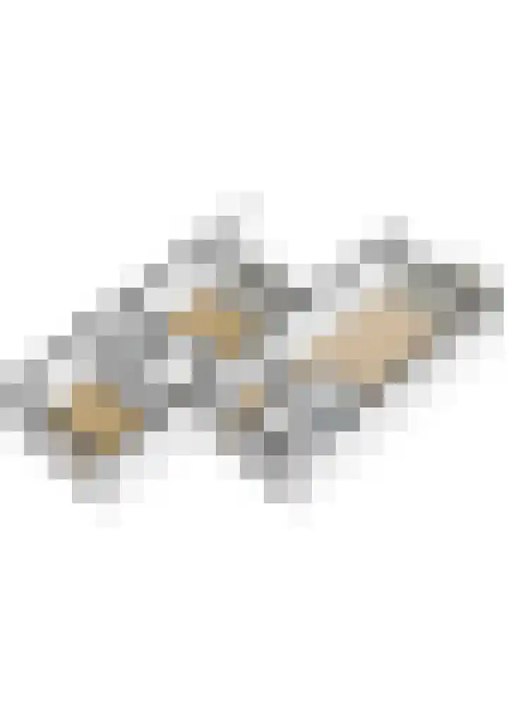 Wielenlaan 29 Boornzwaag thumbnail 54