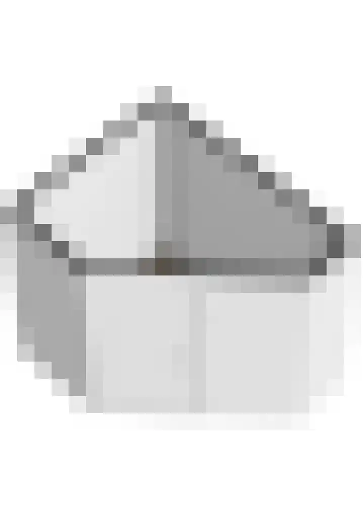 Wielenlaan 29 Boornzwaag thumbnail 55