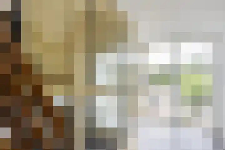 Wielenlaan 29 Boornzwaag thumbnail 6