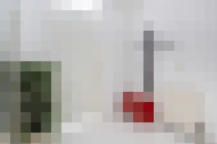 Wielenlaan 29 Boornzwaag thumbnail 9