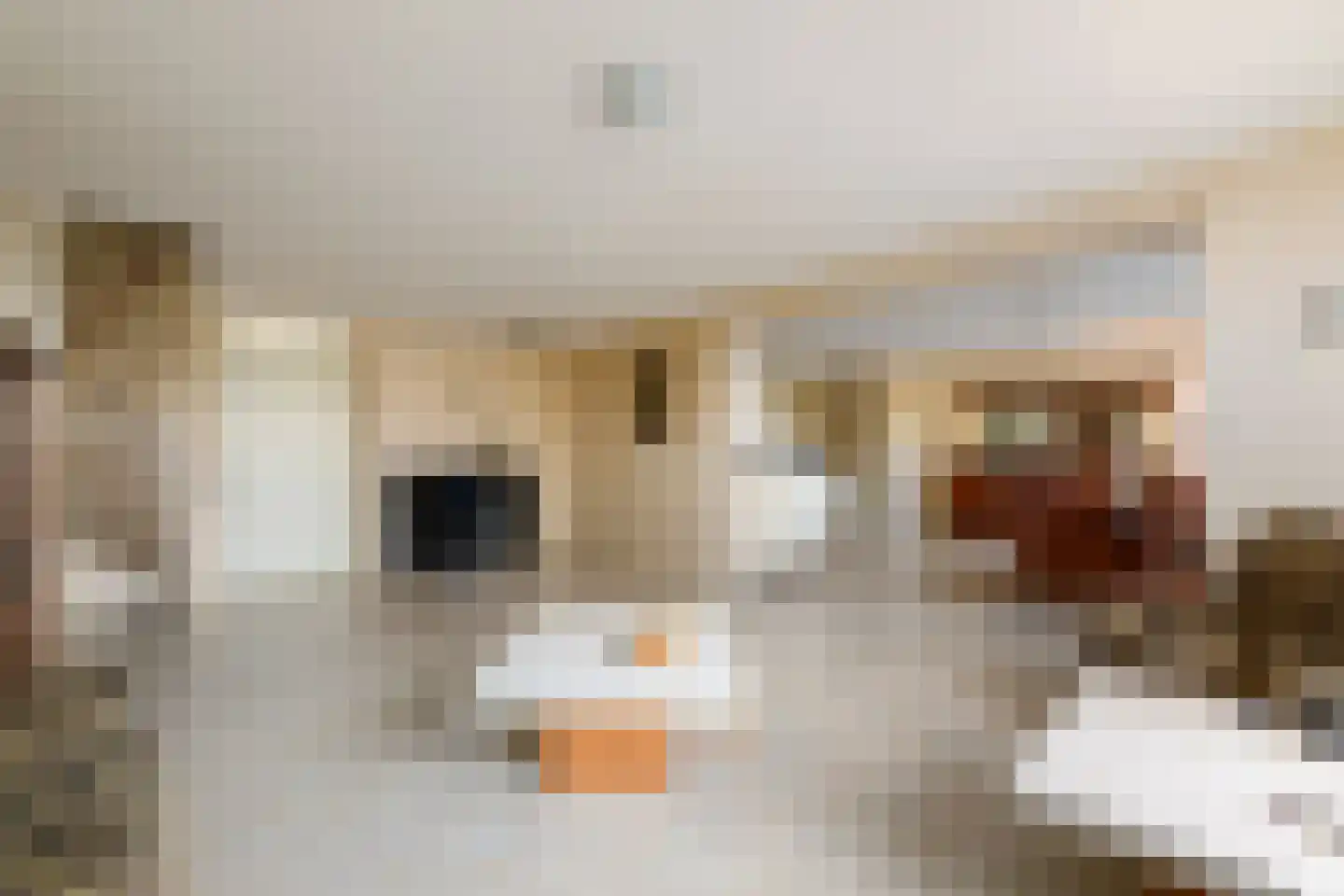 Wielenlaan 49 Boornzwaag thumbnail 11