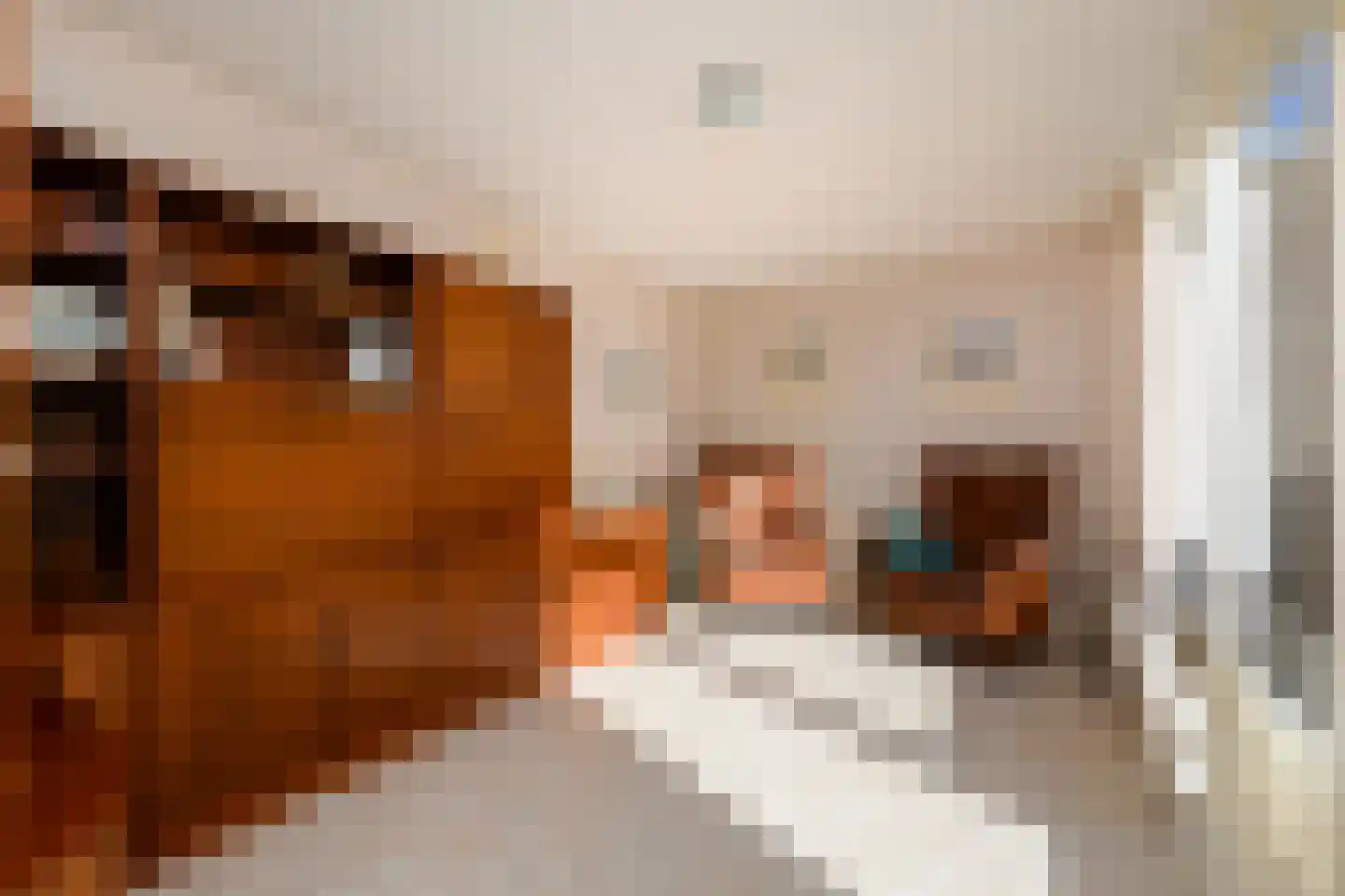 Wielenlaan 49 Boornzwaag thumbnail 16
