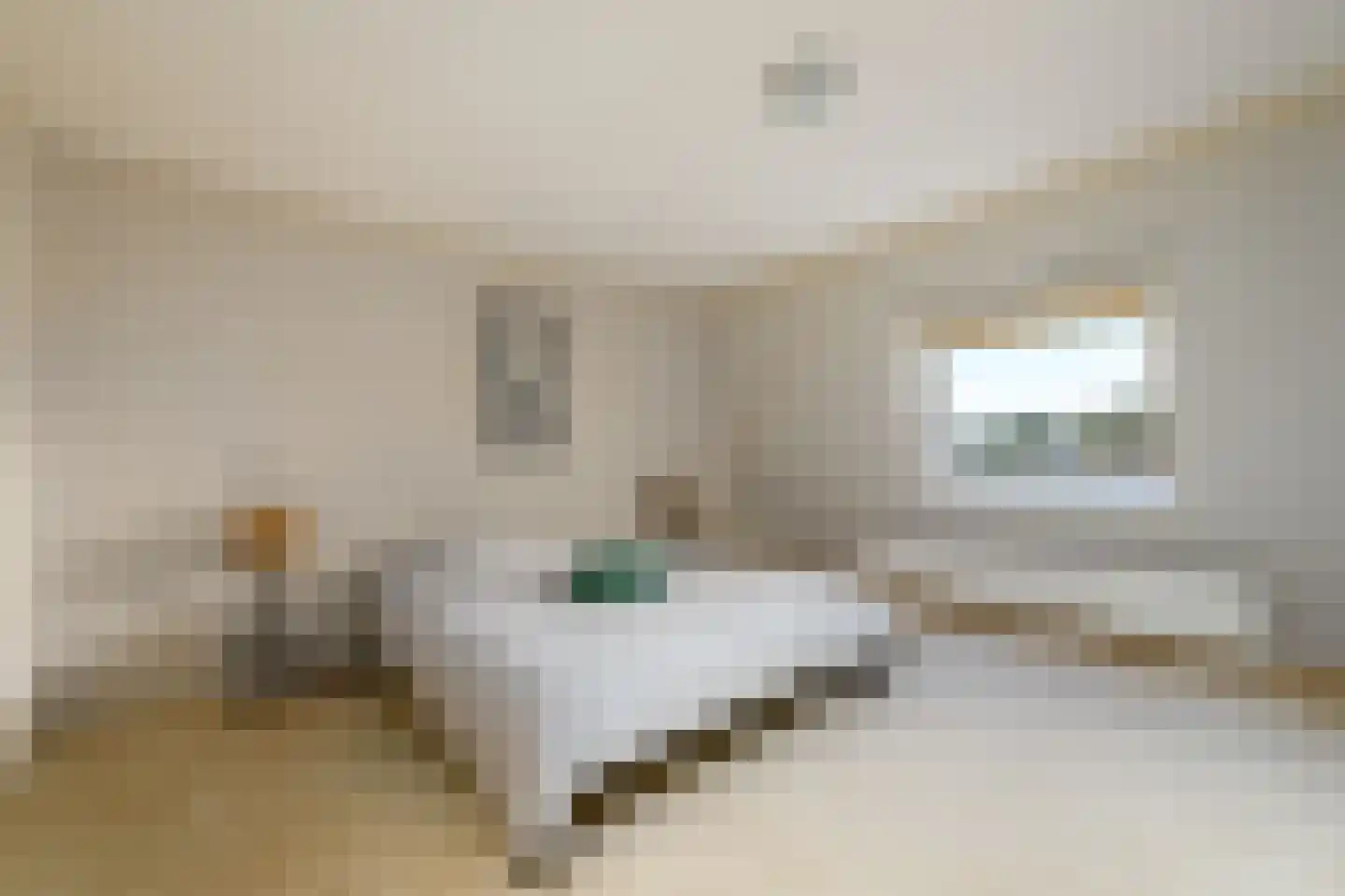 Wielenlaan 49 Boornzwaag thumbnail 20