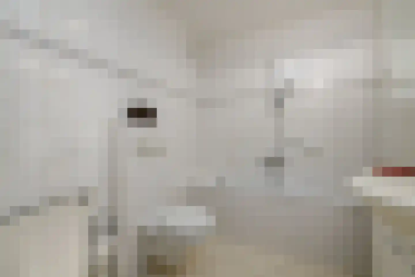 Wielenlaan 49 Boornzwaag thumbnail 23