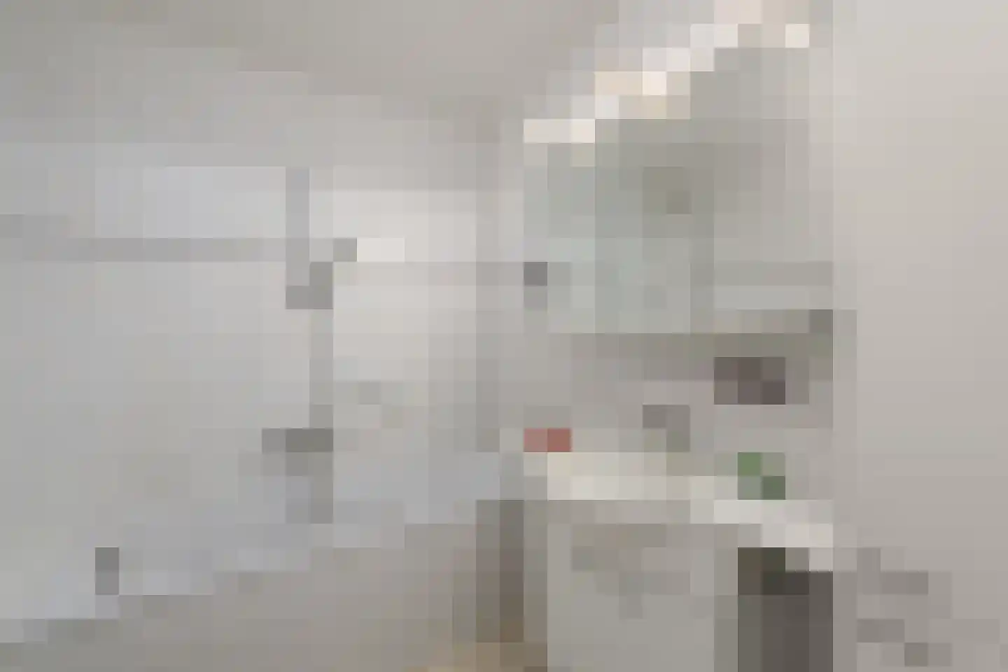 Wielenlaan 49 Boornzwaag thumbnail 24