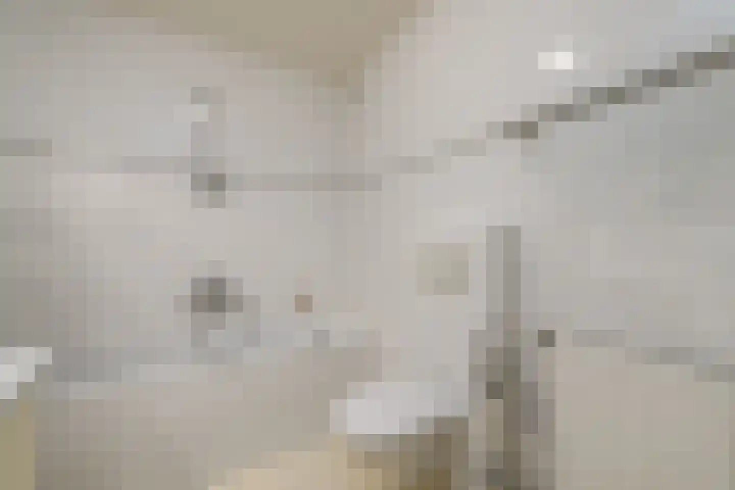 Wielenlaan 49 Boornzwaag thumbnail 29