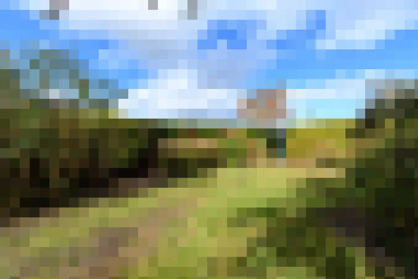 Wielenlaan 49 Boornzwaag thumbnail 35