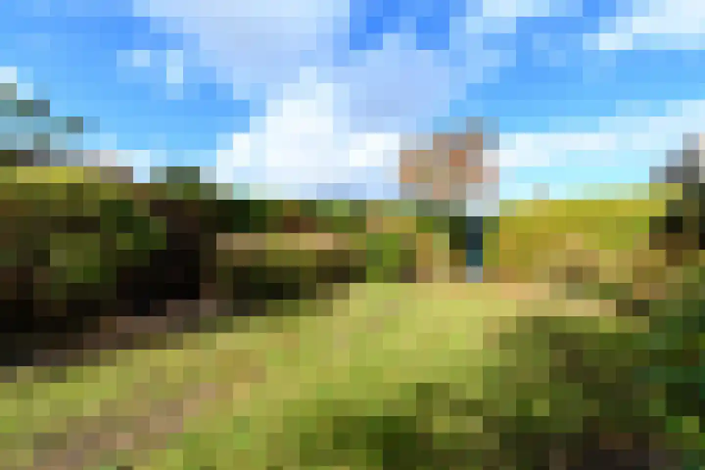 Wielenlaan 49 Boornzwaag thumbnail 36