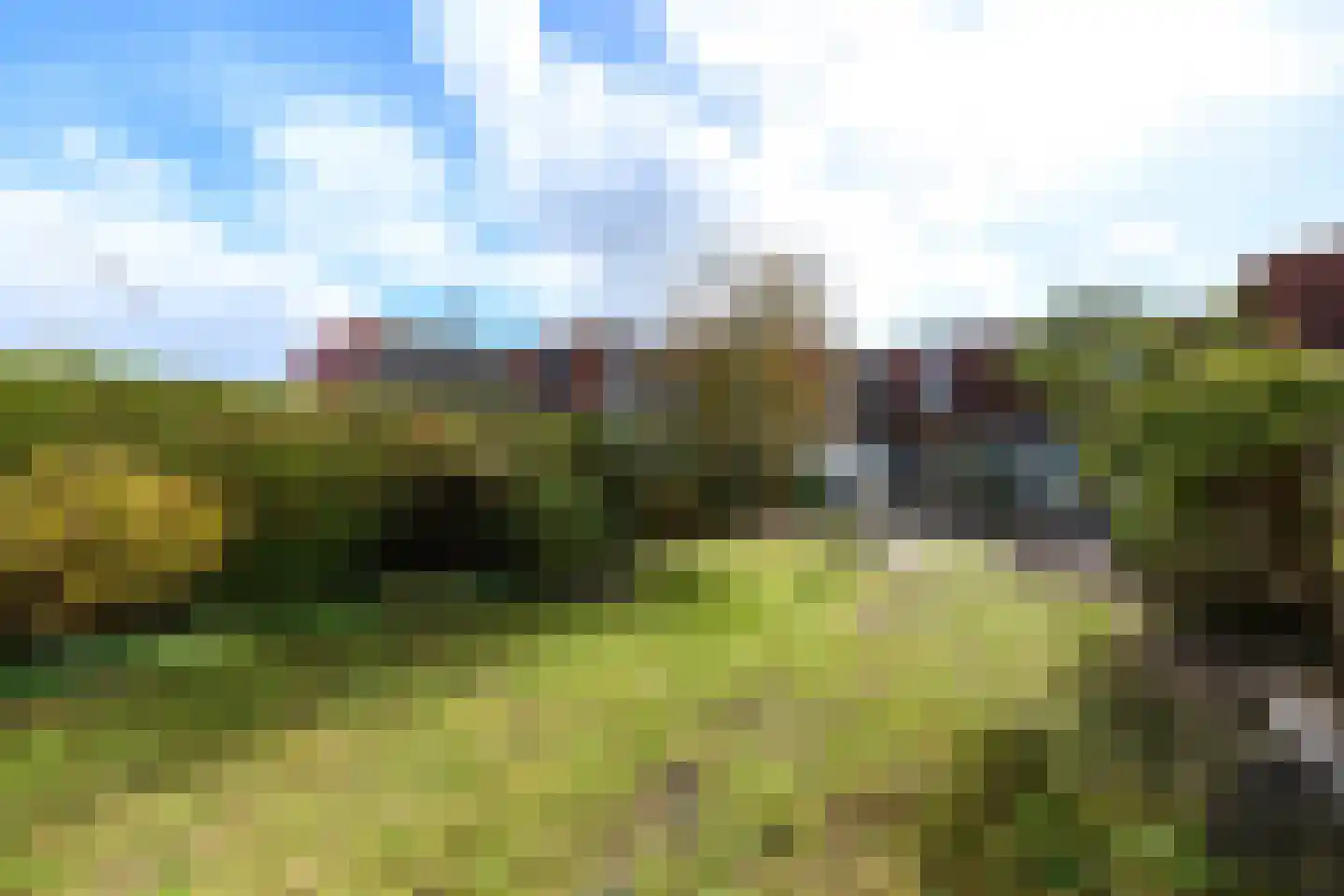Wielenlaan 49 Boornzwaag thumbnail 37