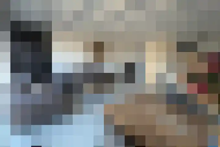 Wielenlaan 9 Boornzwaag thumbnail 11