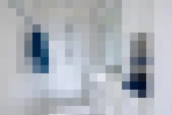 Wielenlaan 9 Boornzwaag thumbnail 13