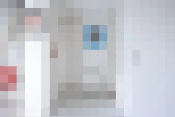 Wielenlaan 9 Boornzwaag thumbnail 6