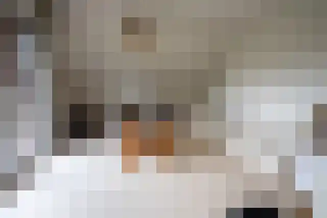 Wielenweg 23 Radewijk thumbnail 11
