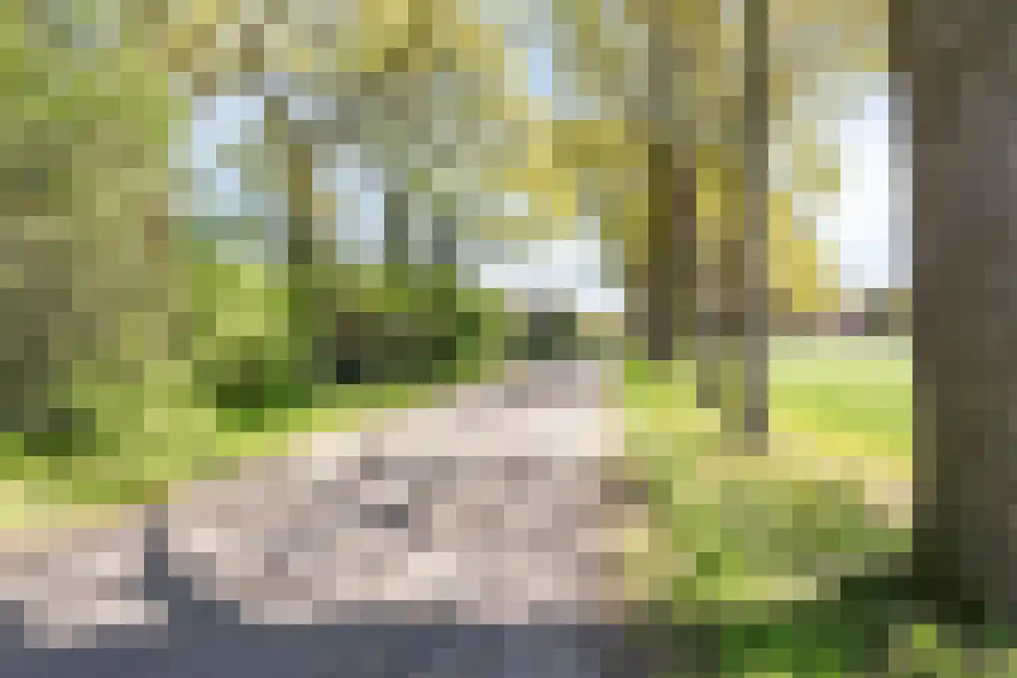 Wielenweg 8 Radewijk thumbnail 10