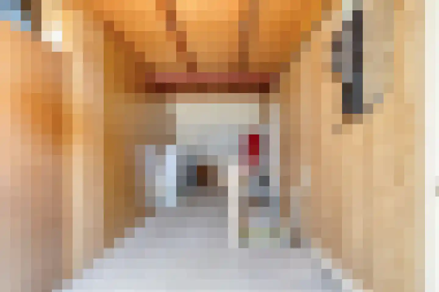 Wielenweg 8 Radewijk thumbnail 25