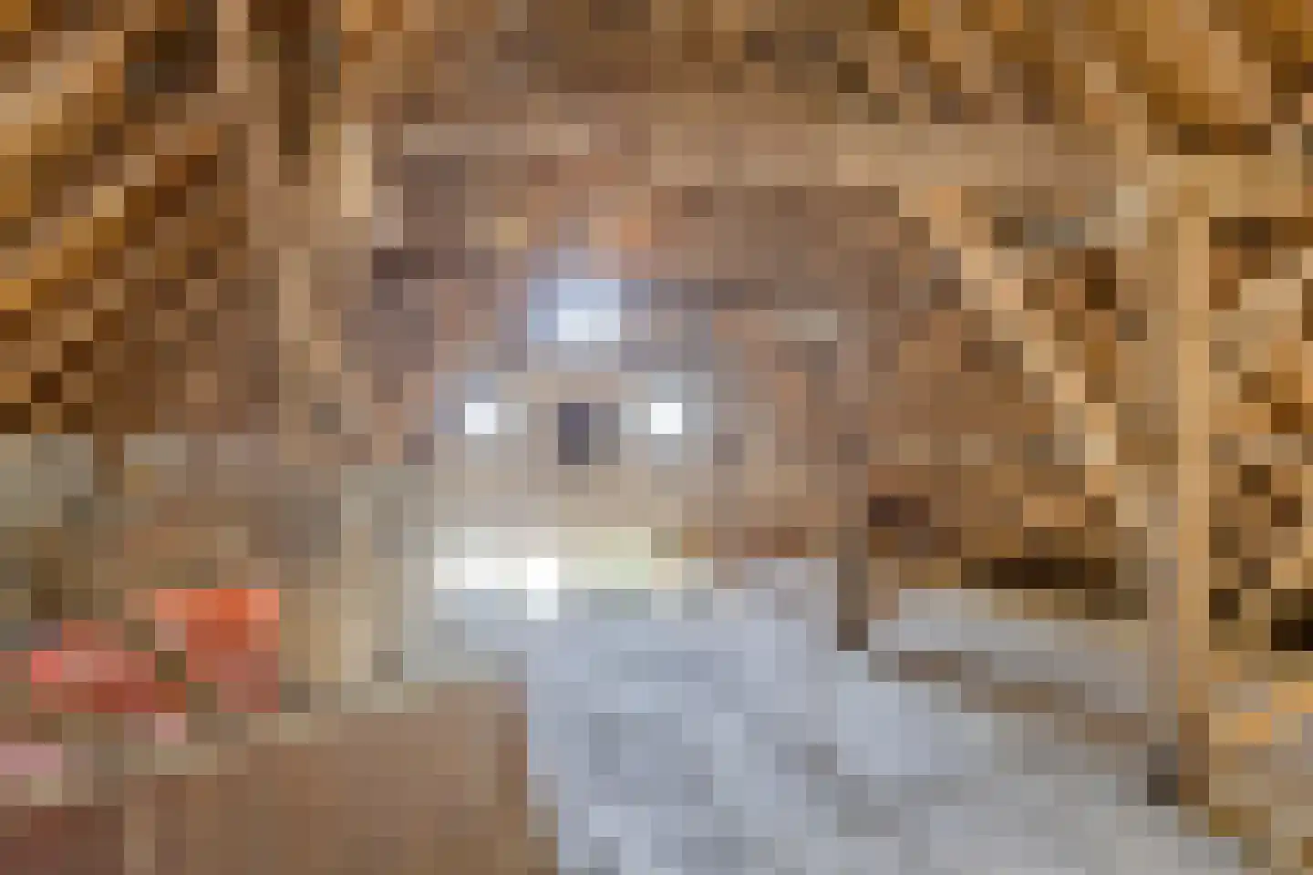 Wielenweg 8 Radewijk thumbnail 26