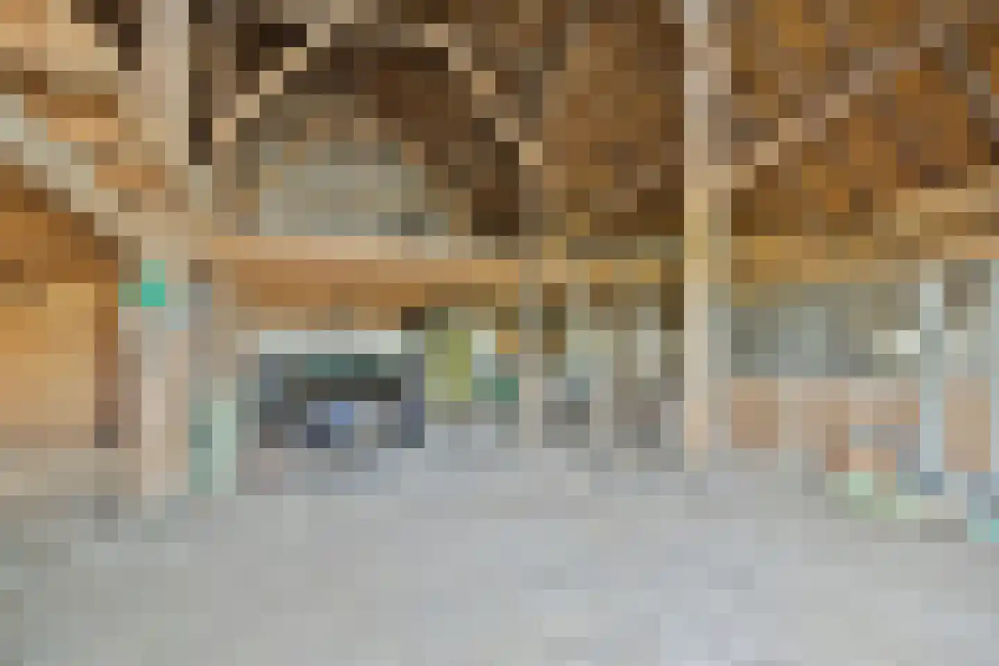 Wielenweg 8 Radewijk thumbnail 27