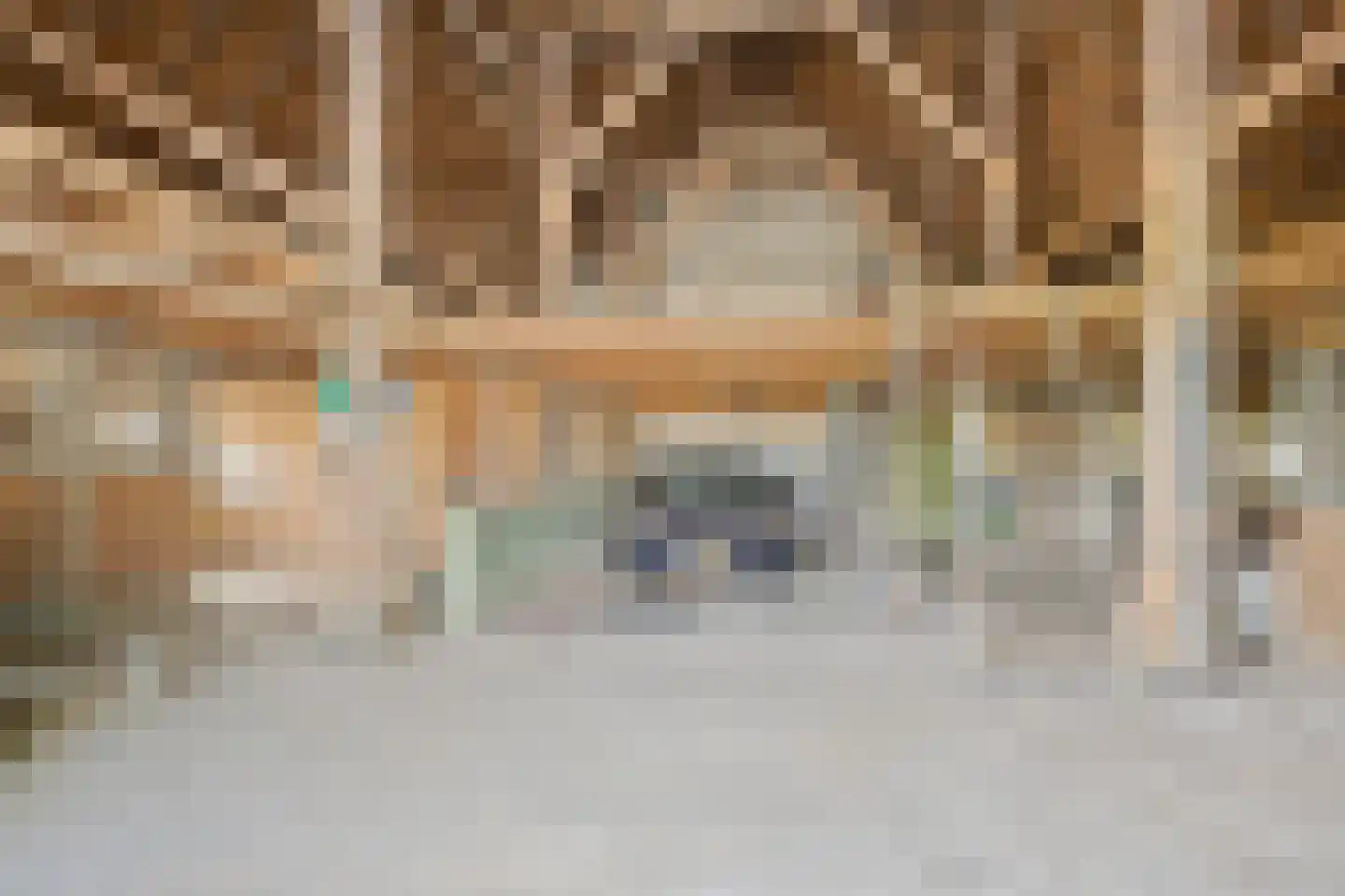 Wielenweg 8 Radewijk thumbnail 28