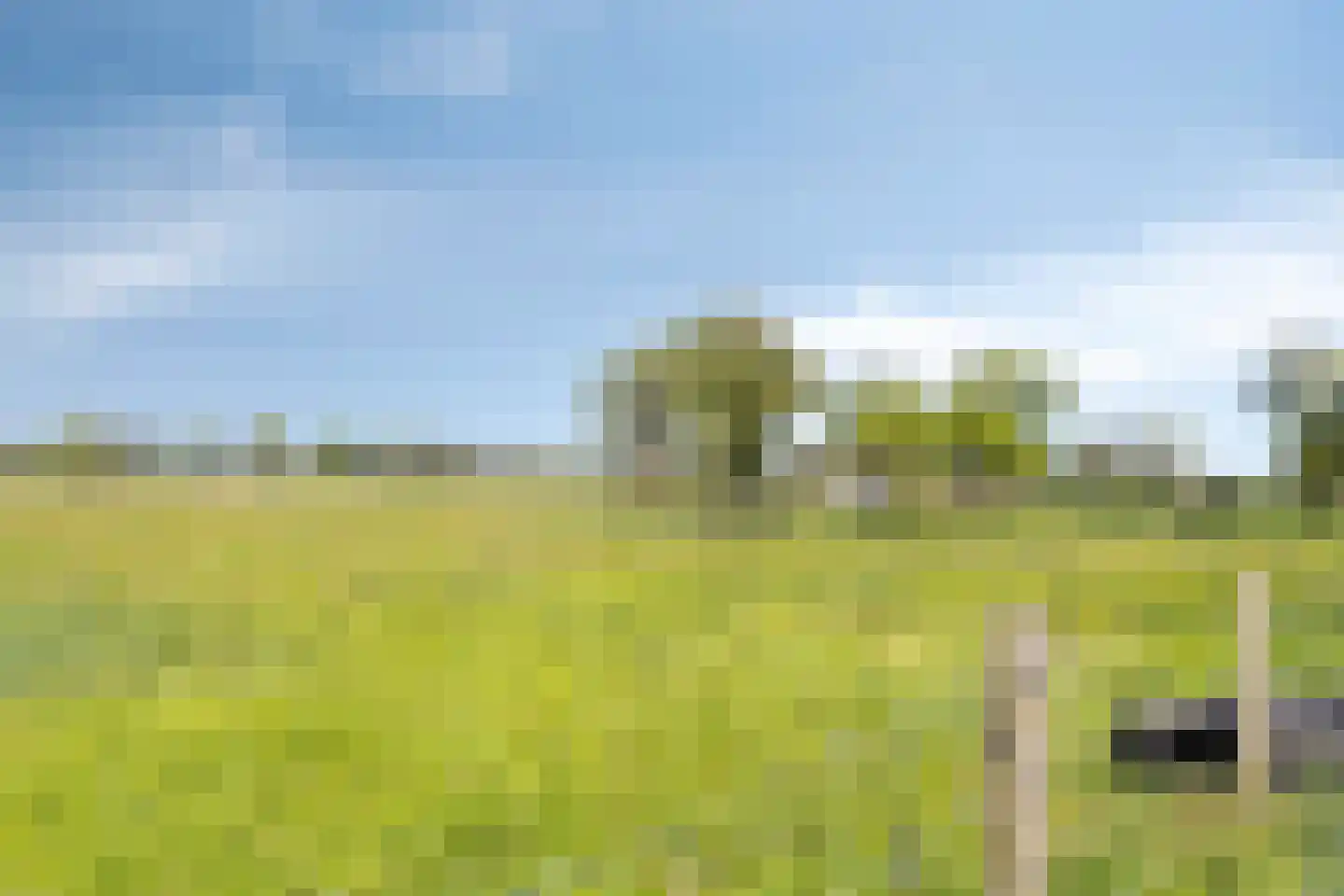 Wielenweg 8 Radewijk thumbnail 28