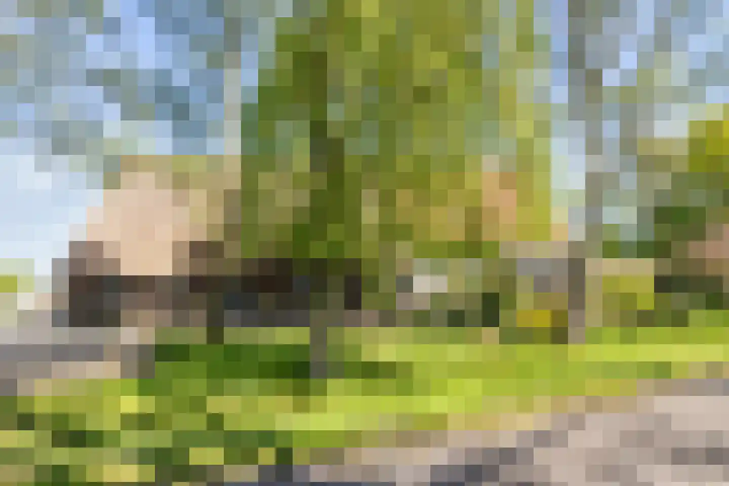 Wielenweg 8 Radewijk thumbnail 4