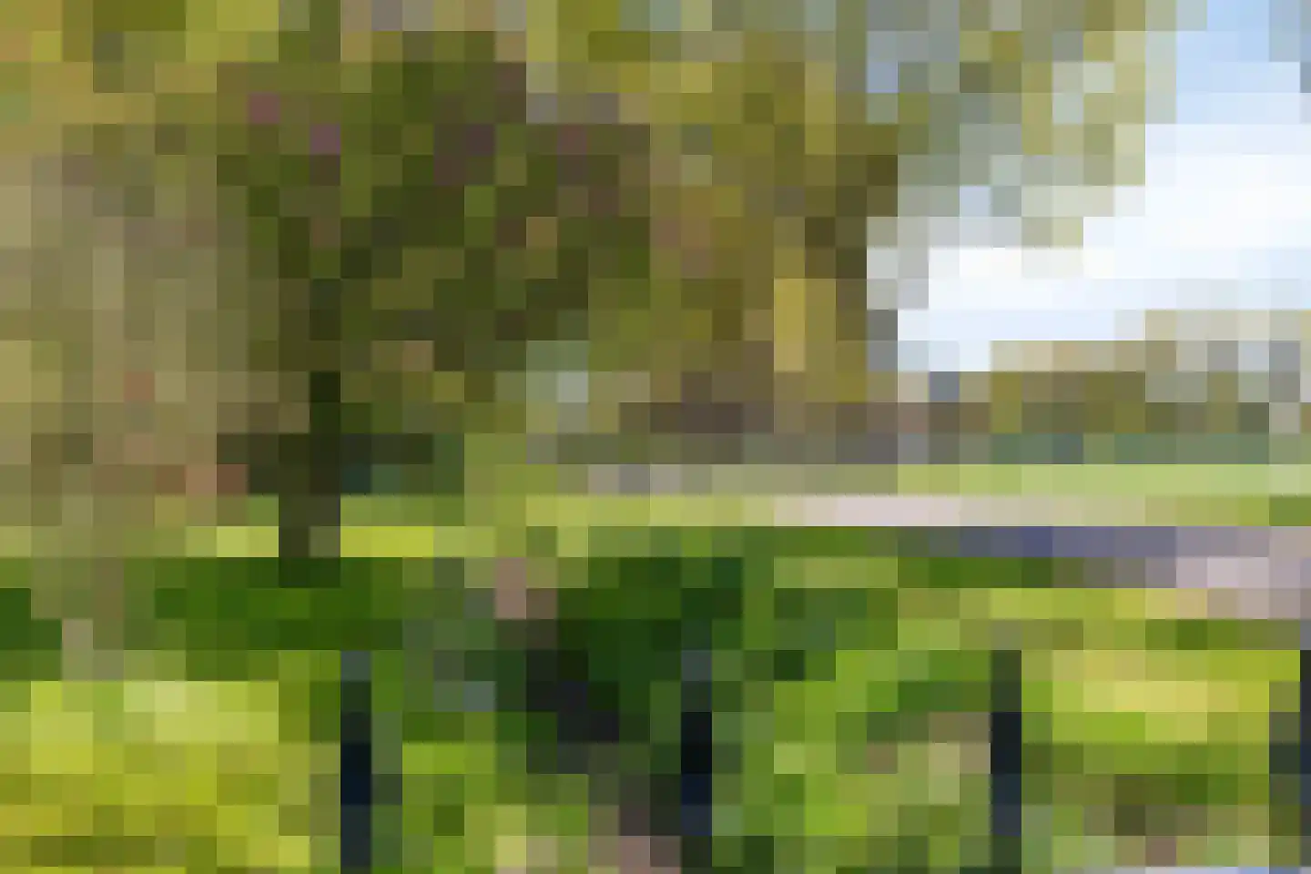 Wielenweg 8 Radewijk thumbnail 5