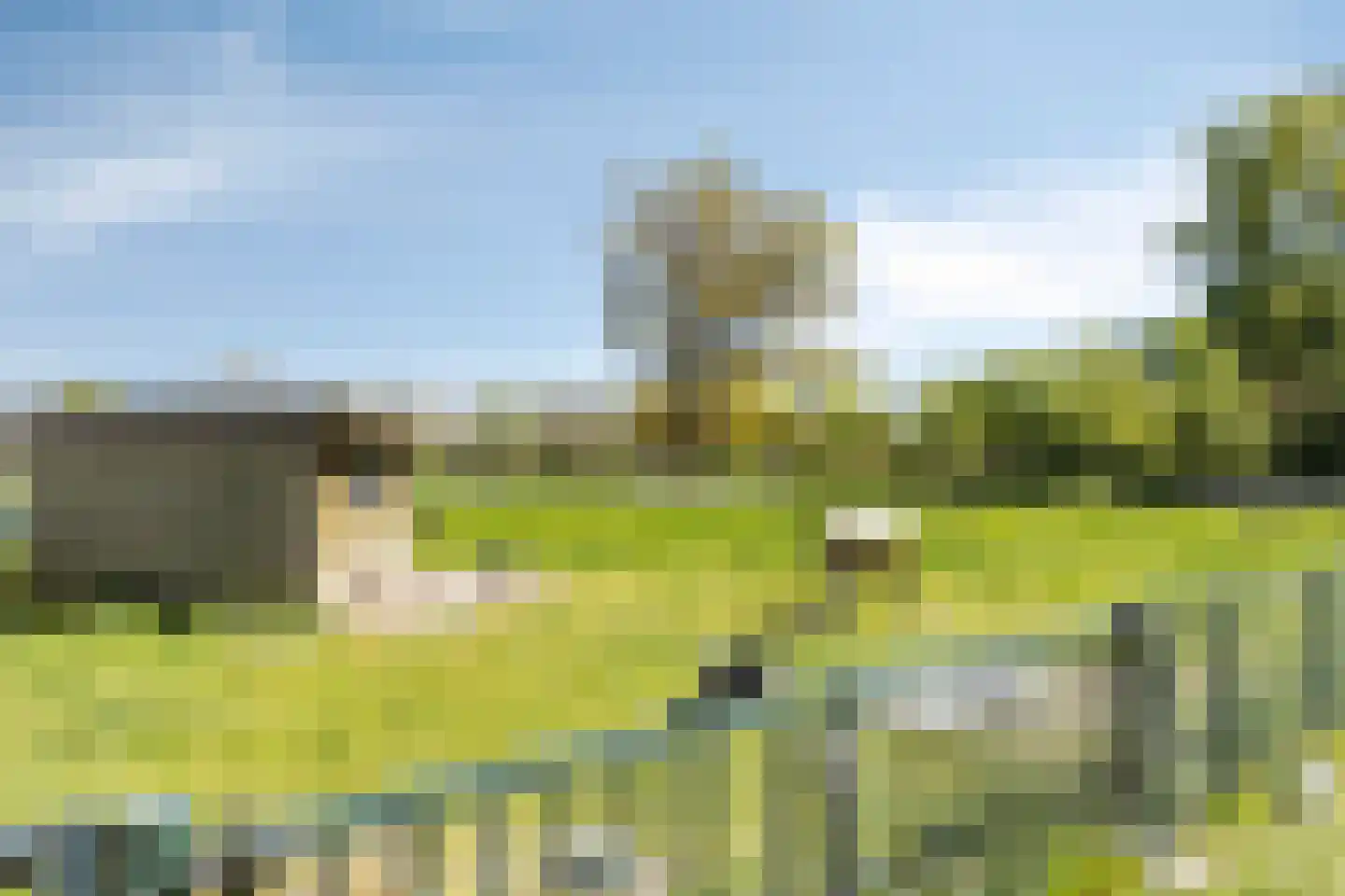 Wielenweg 8 Radewijk thumbnail 6