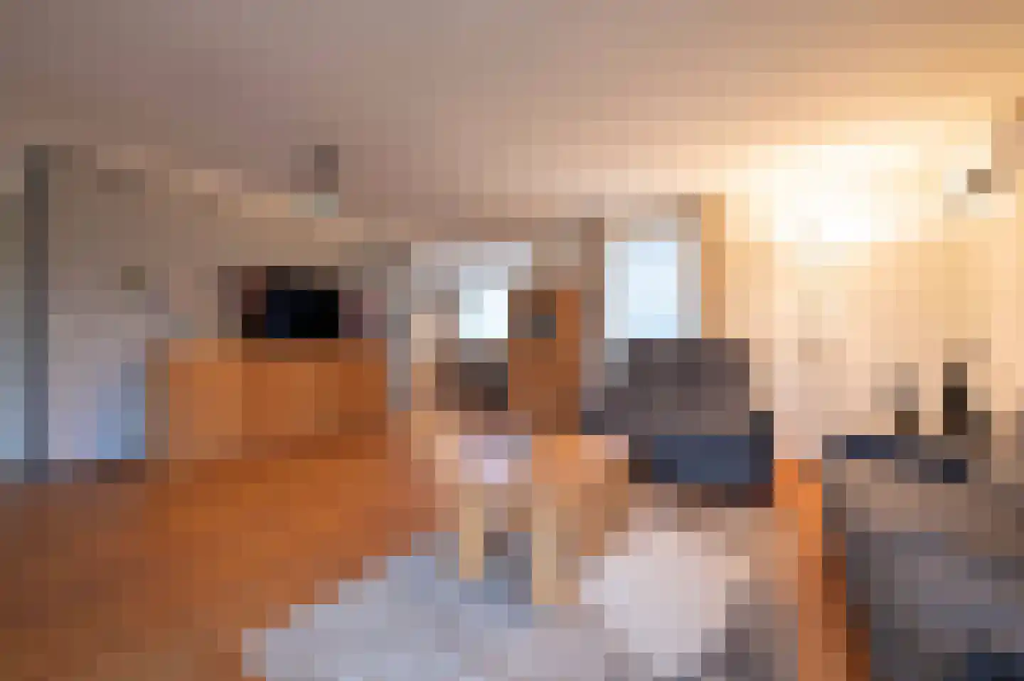 Wielerbaan 1 Oudenbosch thumbnail 11