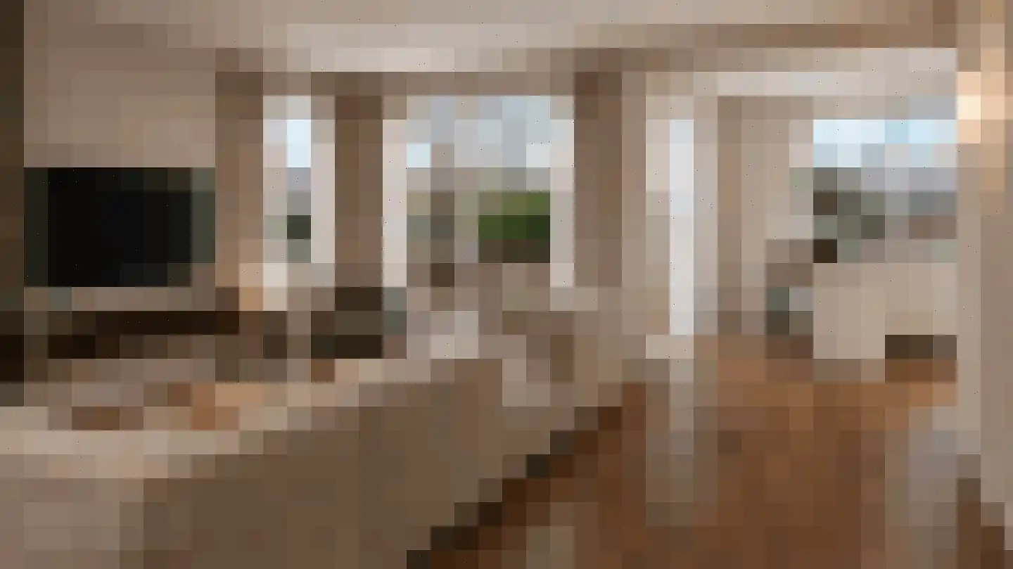Wielerbaan 1 Oudenbosch thumbnail 14
