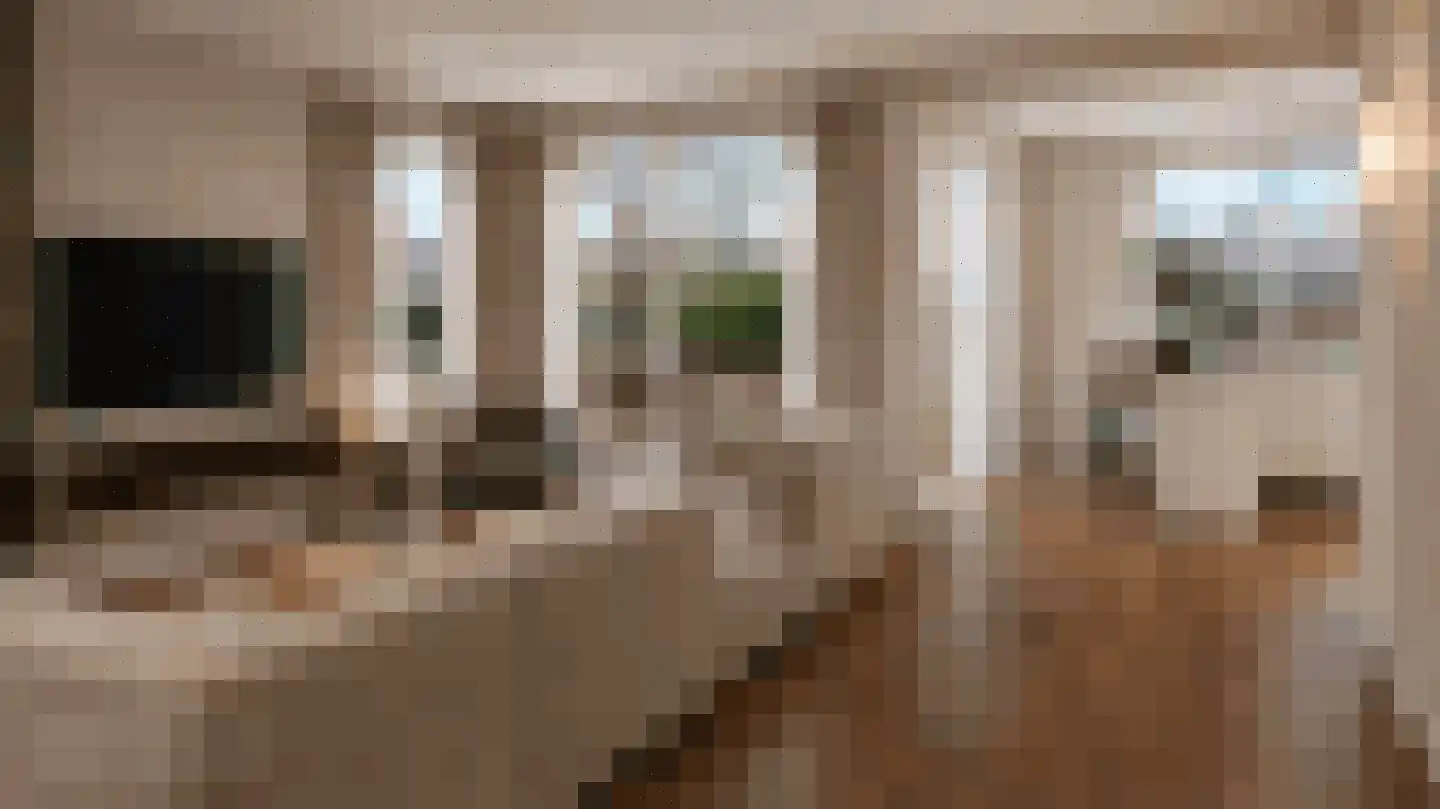Wielerbaan 1 Oudenbosch thumbnail 14