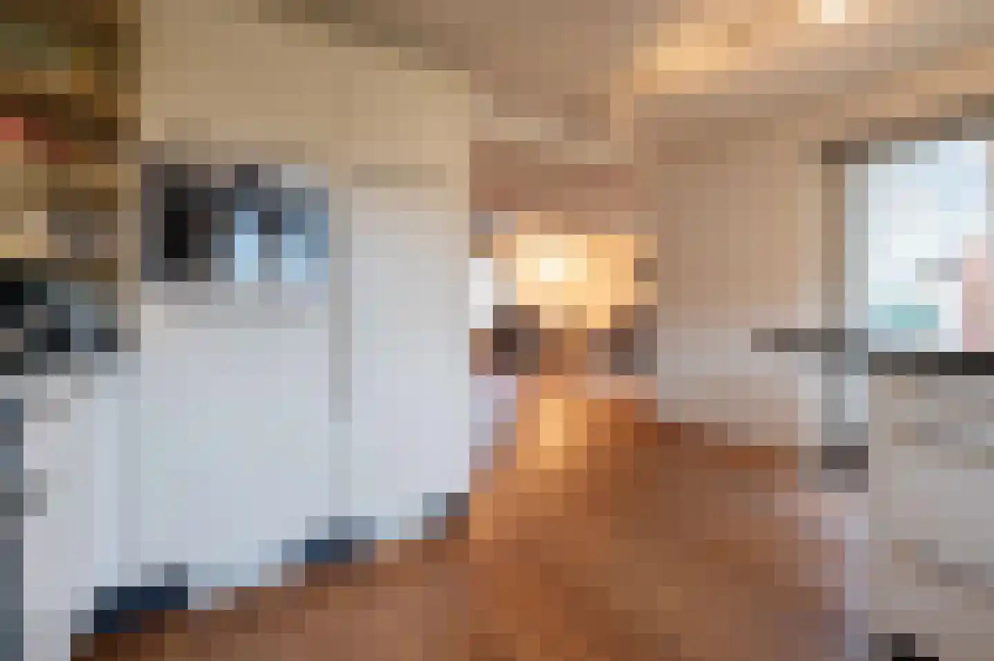 Wielerbaan 1 Oudenbosch thumbnail 4