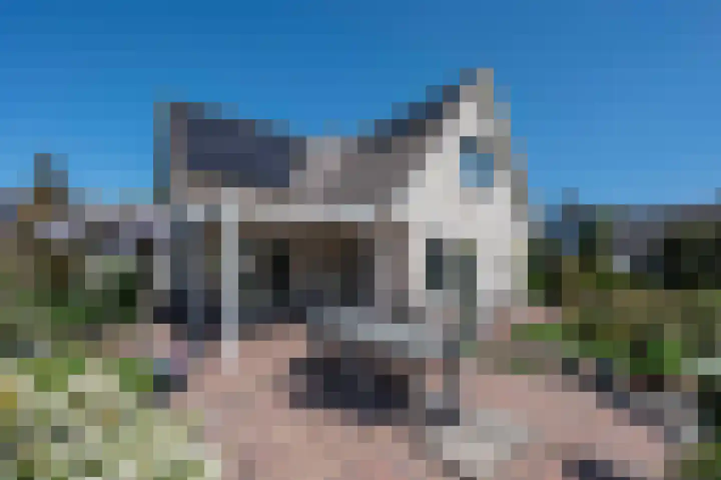 Wielerbaan 1 Oudenbosch thumbnail 25