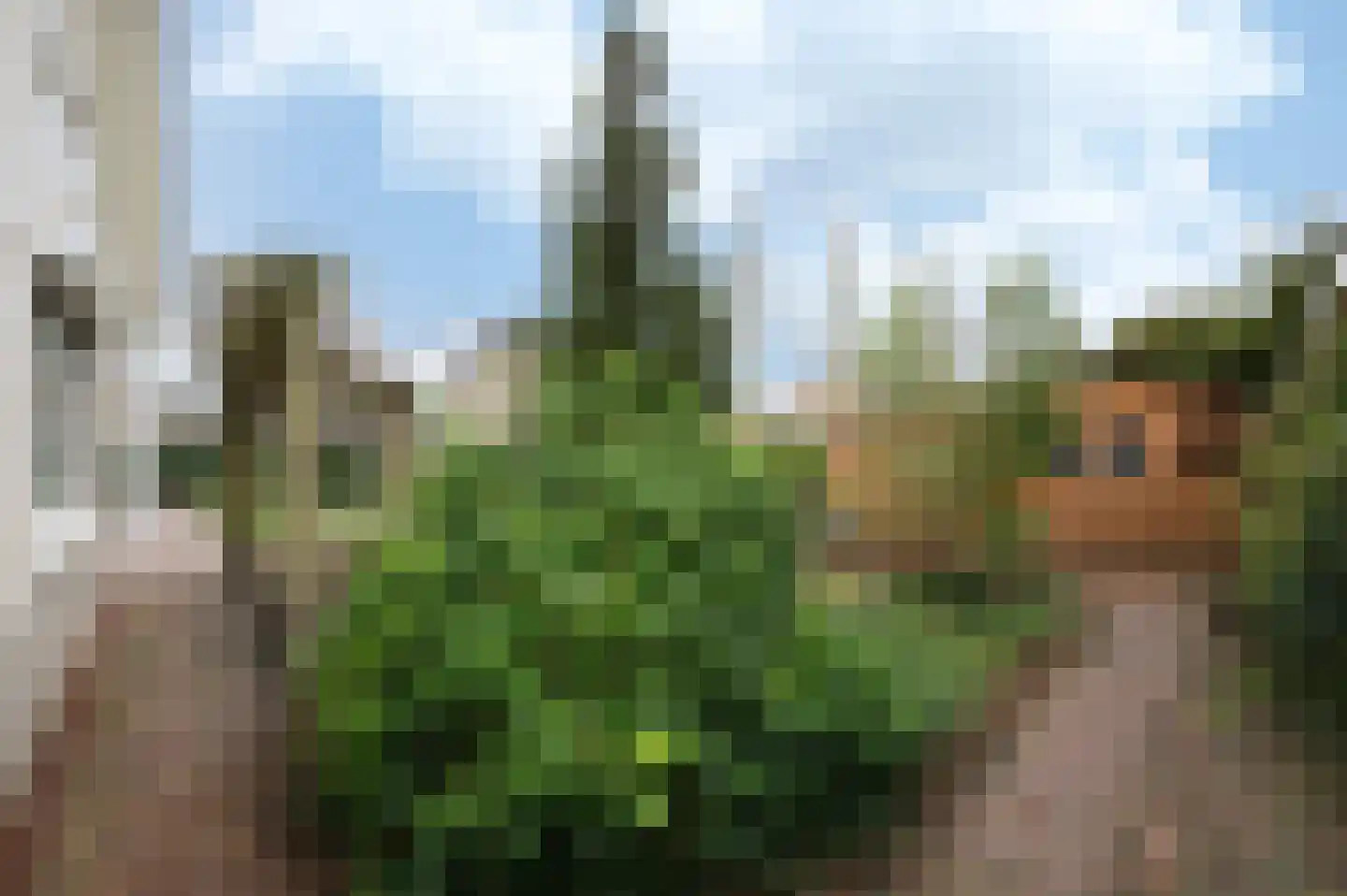 Wielerbaan 1 Oudenbosch thumbnail 26