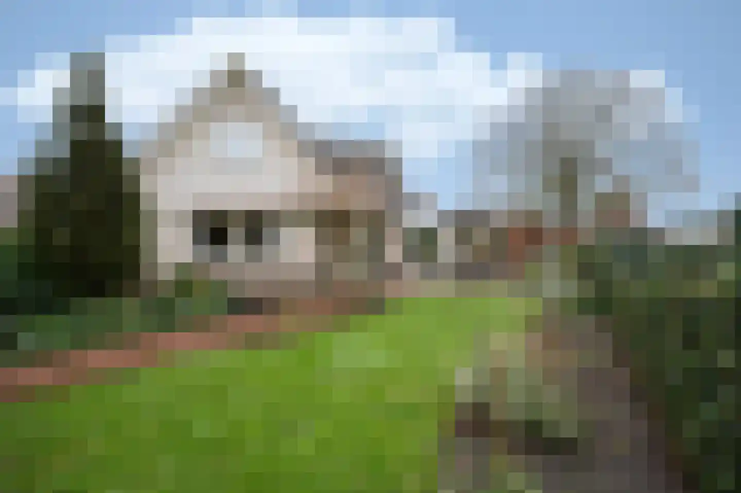 Wielerbaan 1 Oudenbosch thumbnail 42