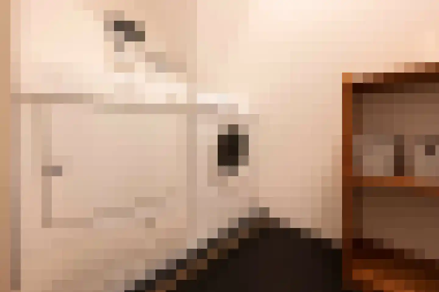 Wielerbaan 1 Oudenbosch thumbnail 9