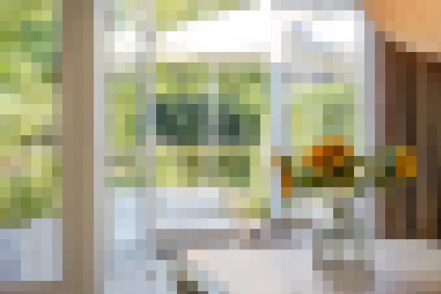 Wielerbaan 17 Oudenbosch thumbnail 19