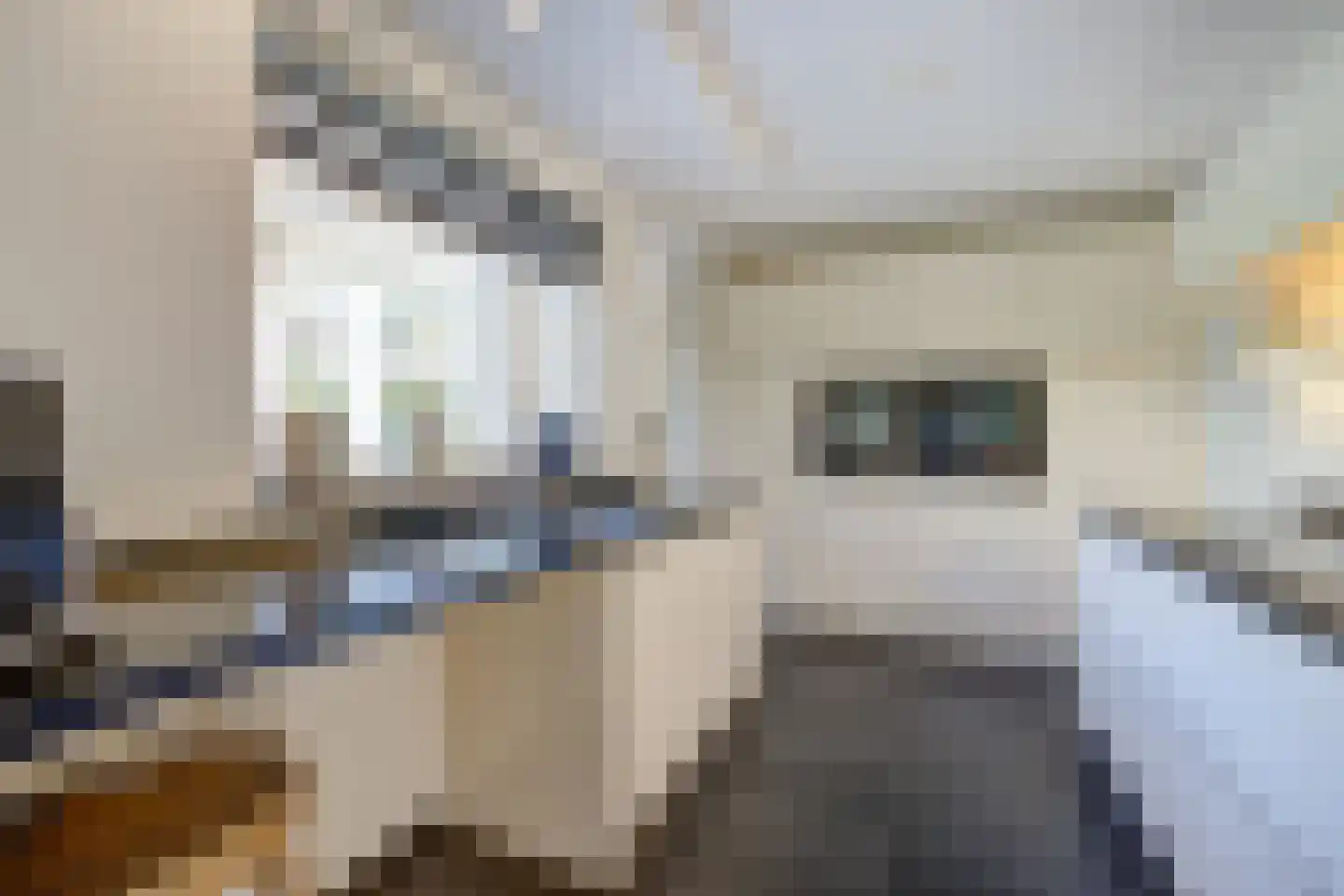 Wielerbaan 17 Oudenbosch thumbnail 21