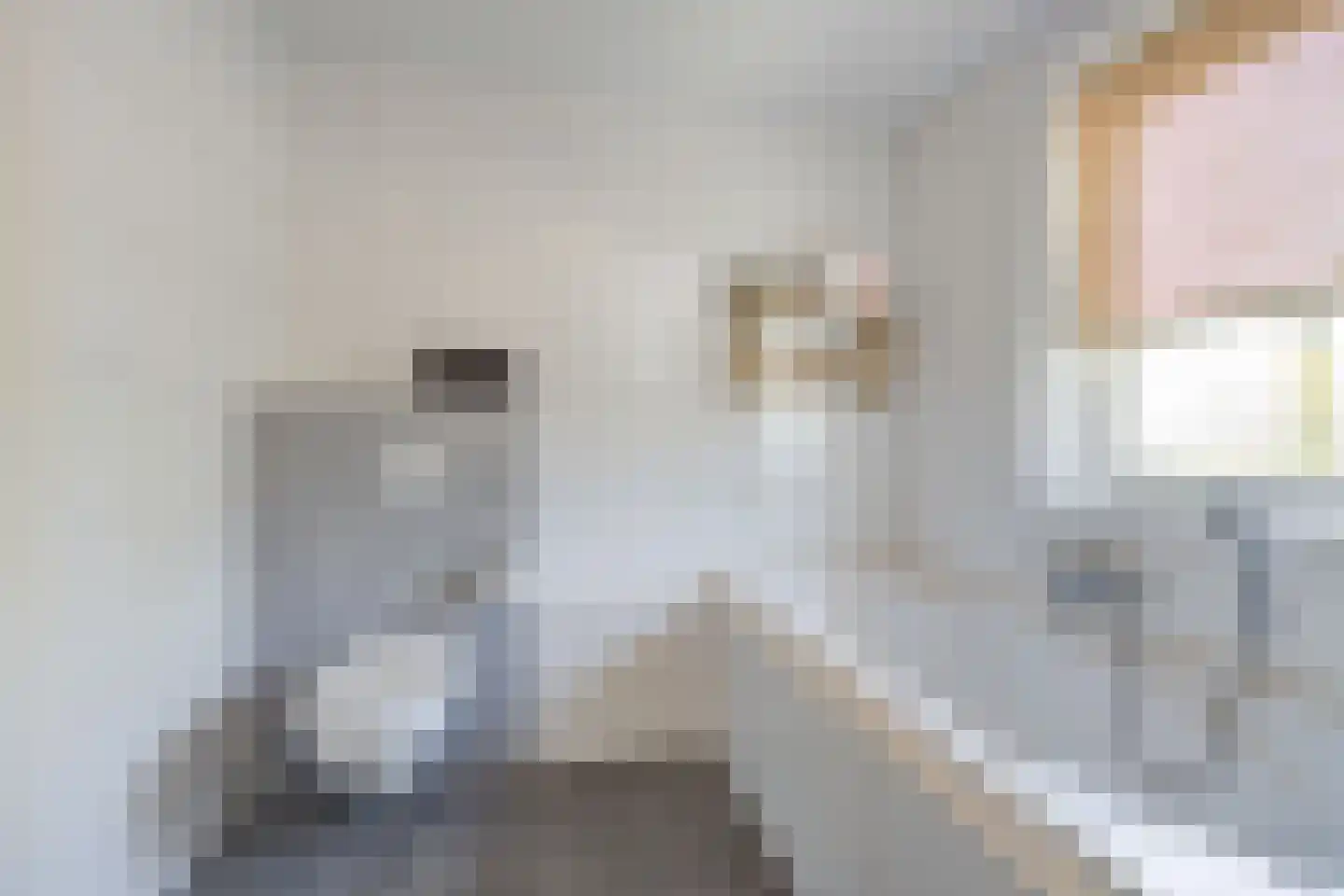 Wielerbaan 17 Oudenbosch thumbnail 35