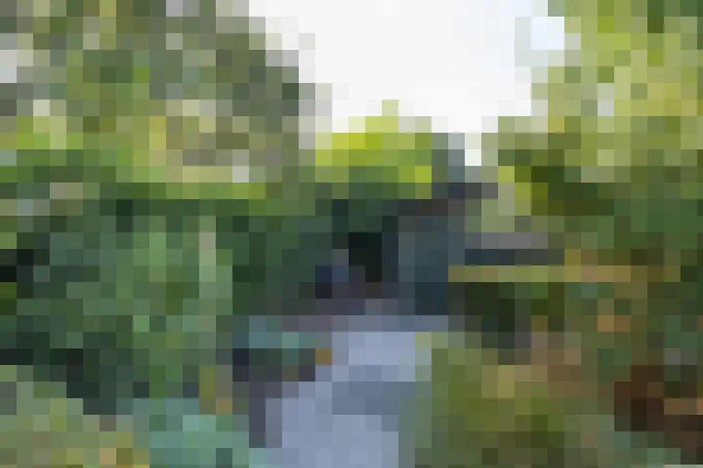 Wielerbaan 17 Oudenbosch thumbnail 46