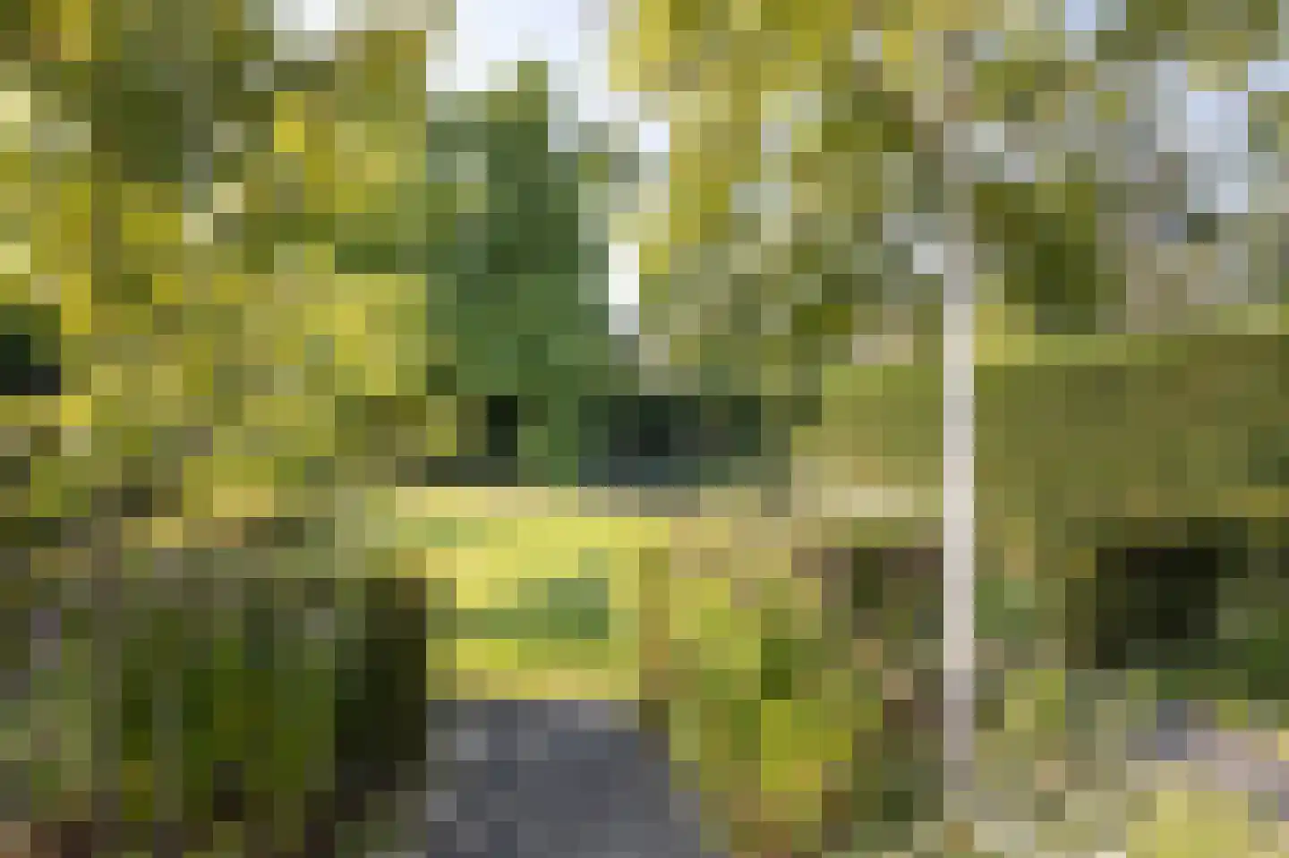 Wielerbaan 17 Oudenbosch thumbnail 47