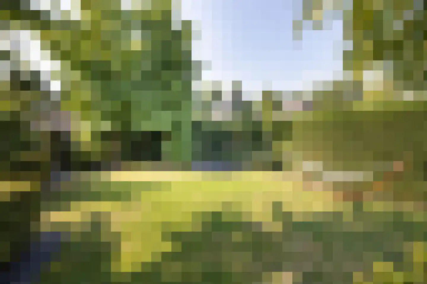 Wielerbaan 17 Oudenbosch thumbnail 48