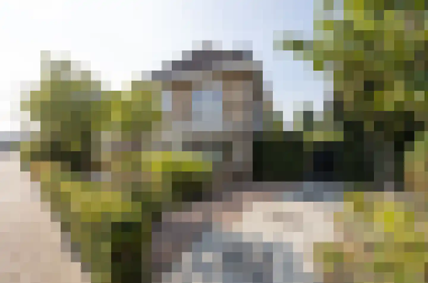 Wielerbaan 17 Oudenbosch thumbnail 55
